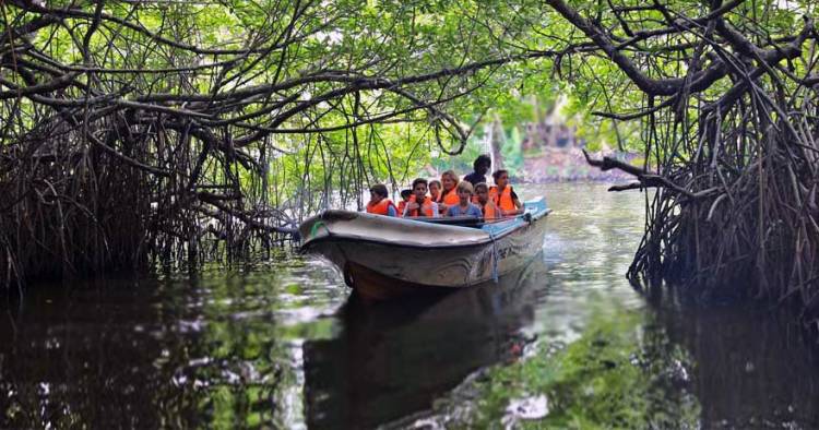 Maduganga Boat Safari